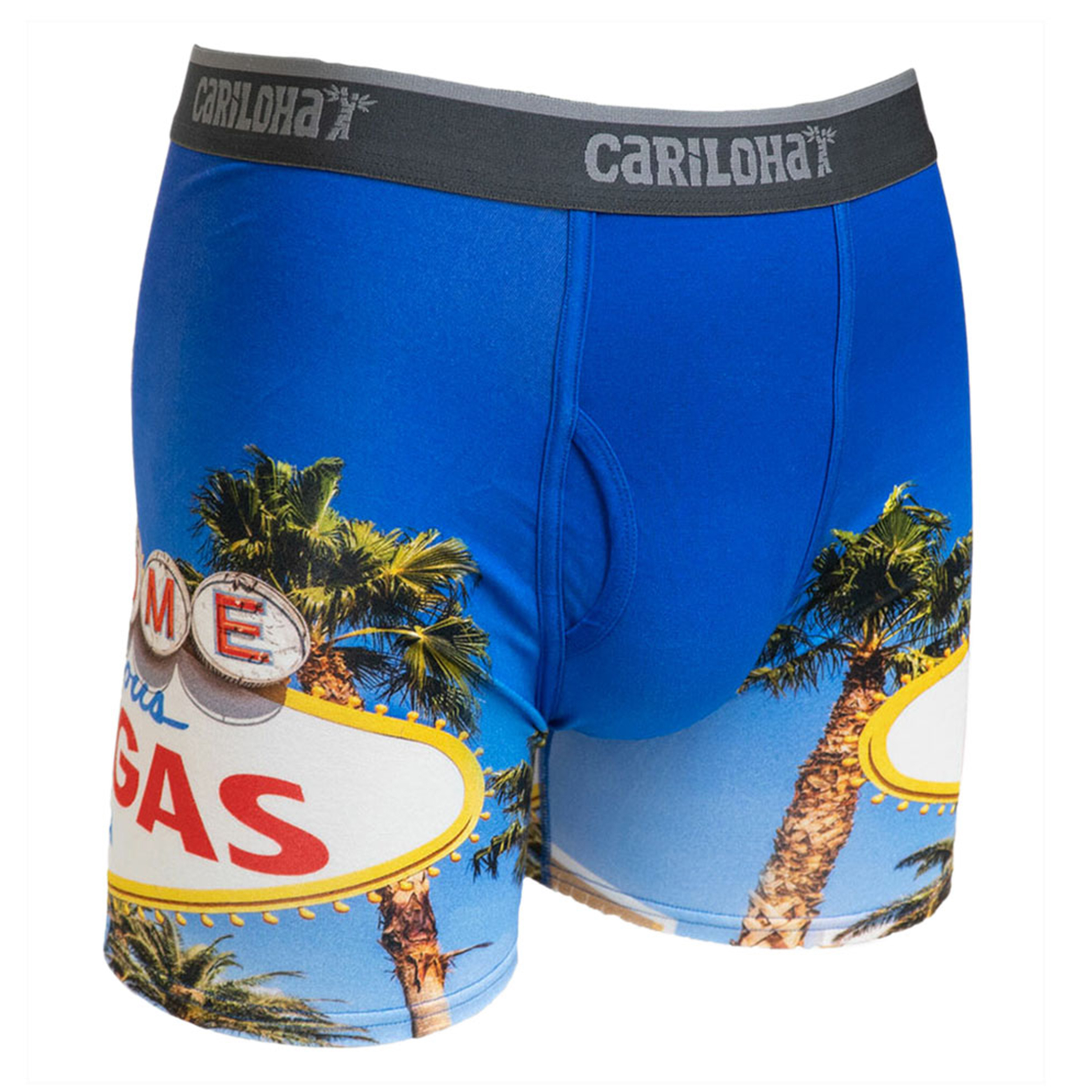 Cariloha Men's Bamboo Boxer Briefs - Breathable Underwear for Men - Small - Vegas Strip