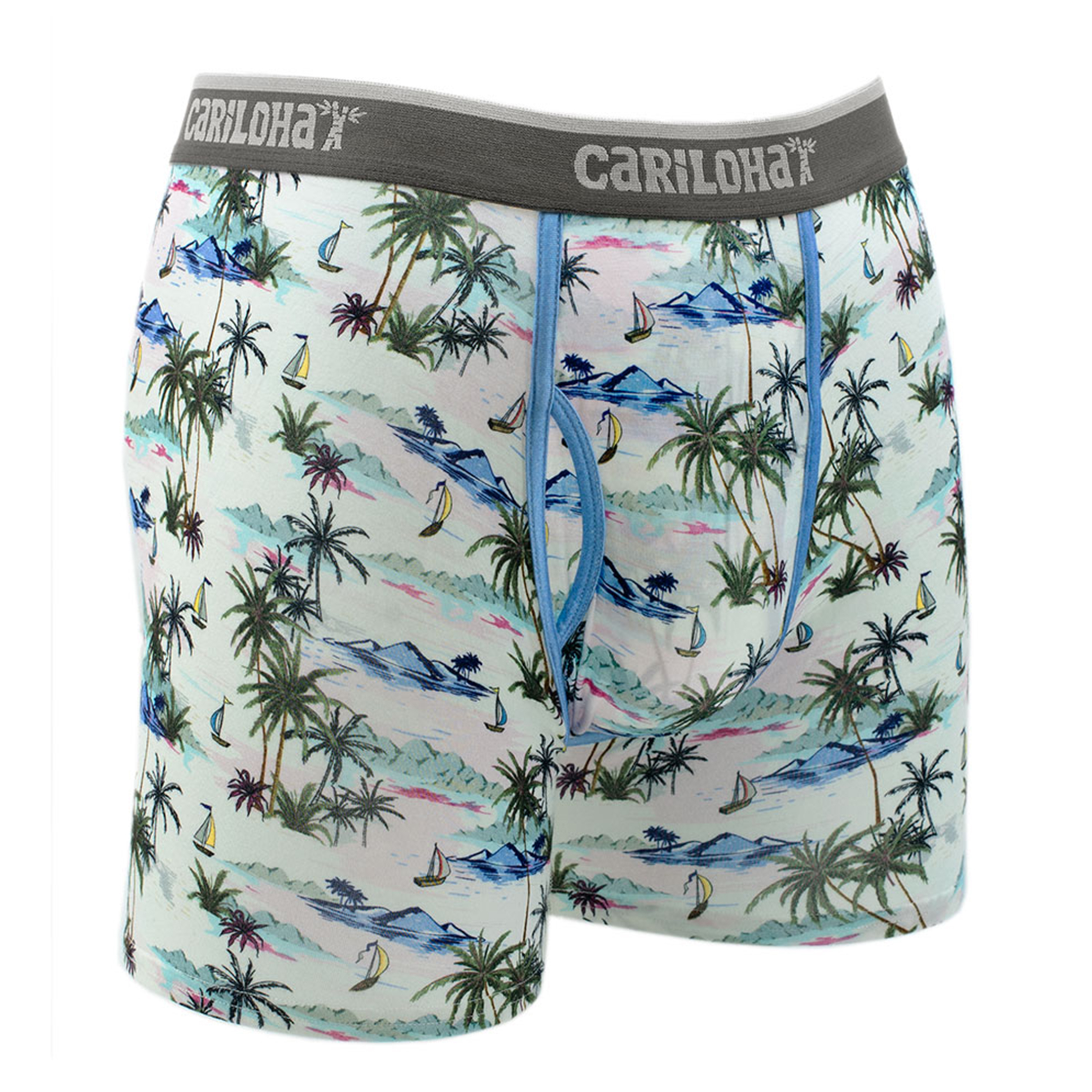 Cariloha Men's Bamboo Boxer Briefs - Breathable Underwear for Men - Medium - Vintage Beach