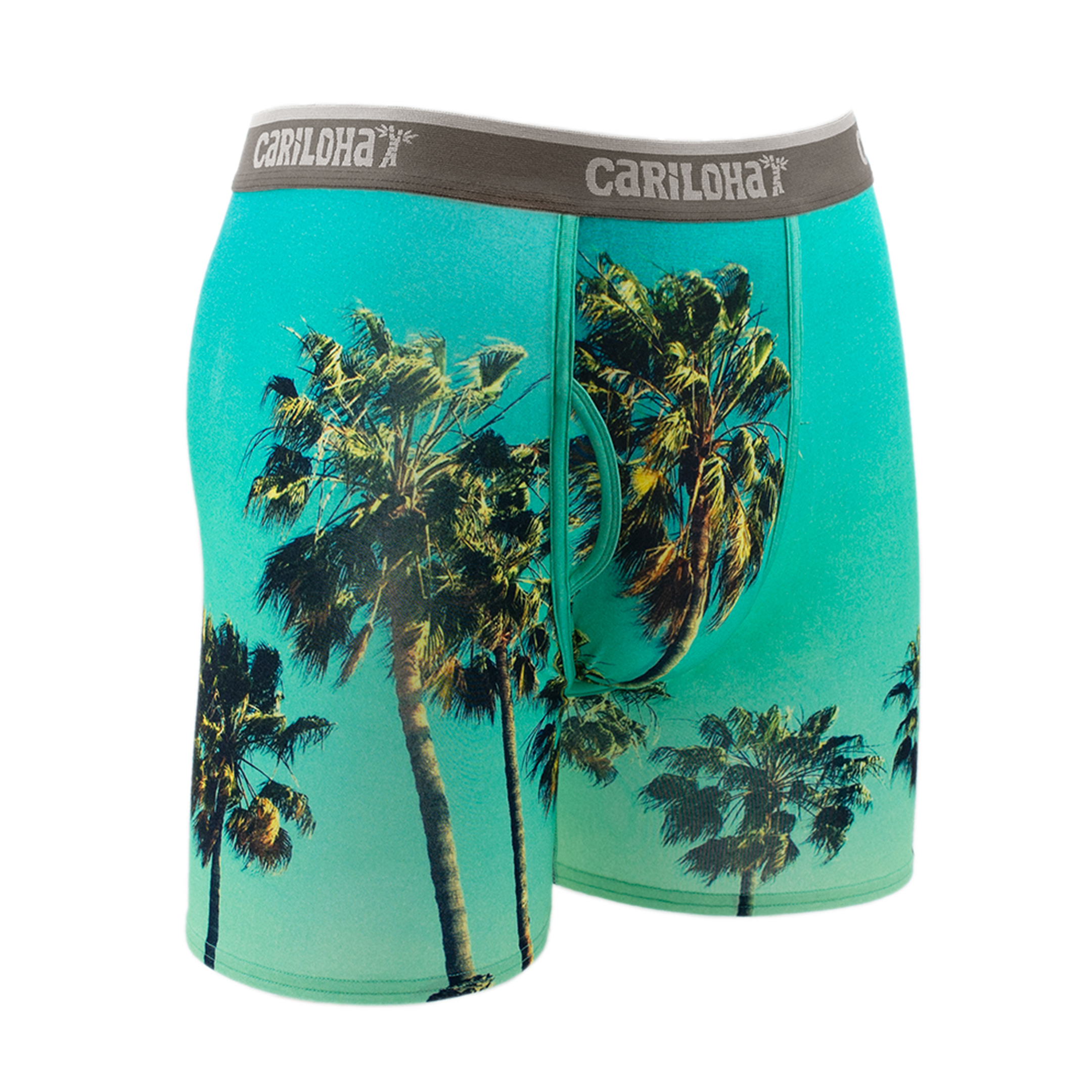 Cariloha Men's Bamboo Boxer Briefs - Breathable Underwear for Men - Small - Sky Palm