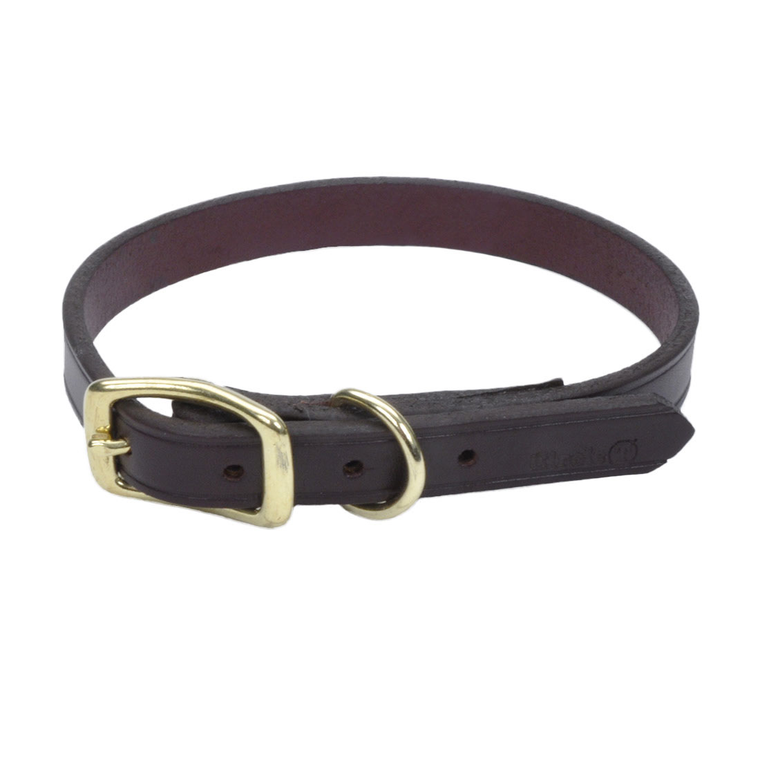 Coastal - Circle T Latigo Leather Town Dog Collar with Brass Hardware - Brown and Gold - 5/8