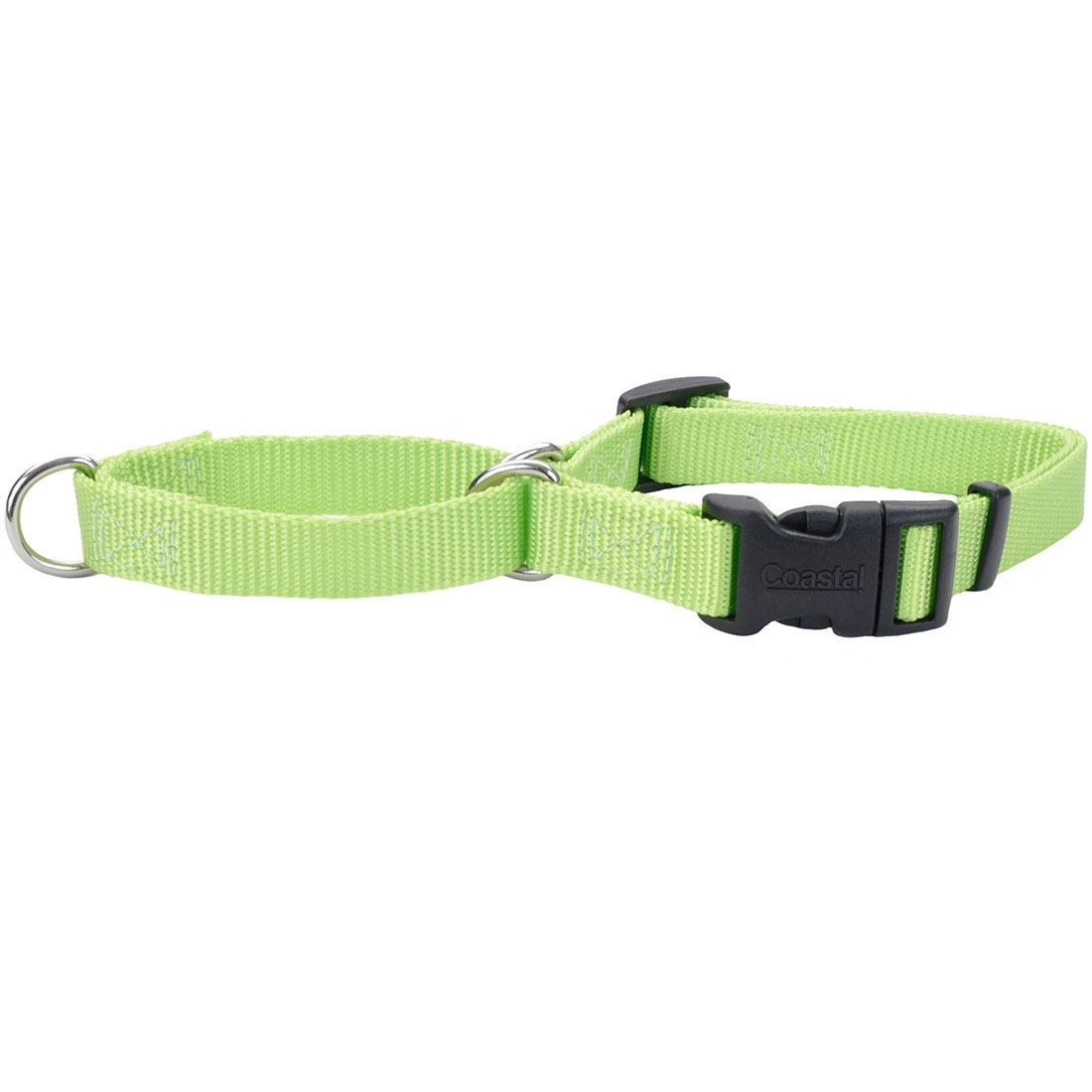 Coastal - No Slip - Martingale Adjustable Dog Collar with Buckle, Lime, 1