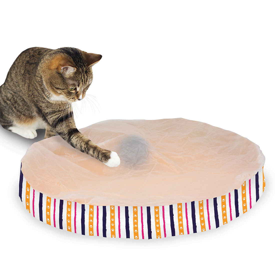 Coastal - Turbo - Random Roller Cat Toy, No Color, 22