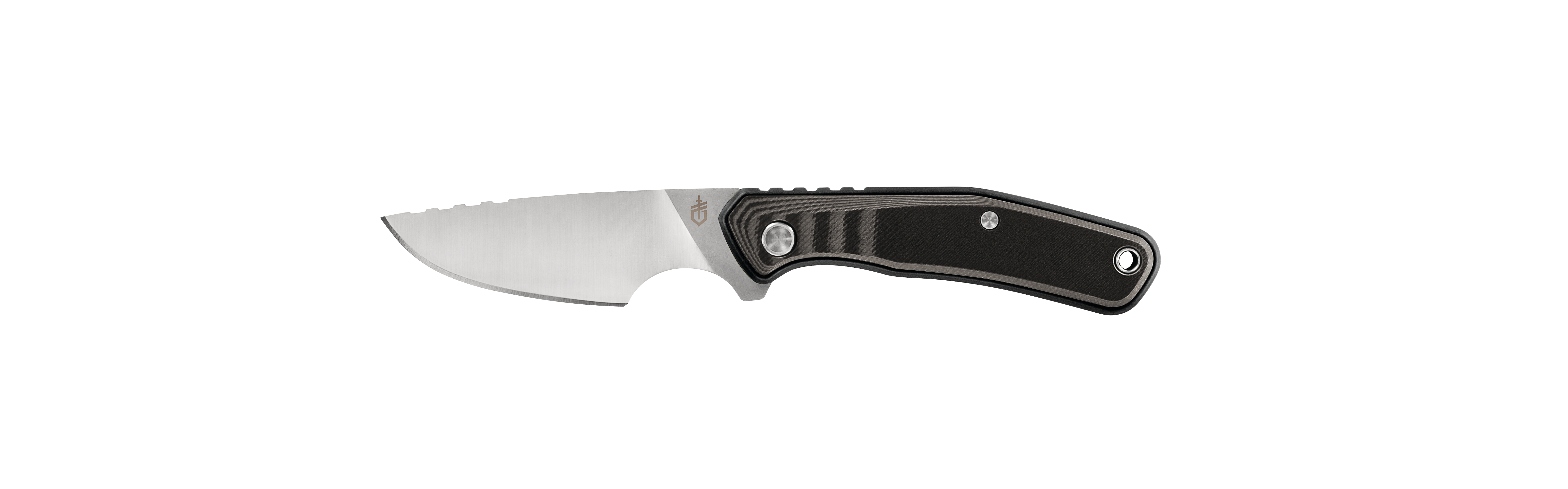 Gerber Gear Downwind Caper Knife with Sheath, Black, (31-003932)