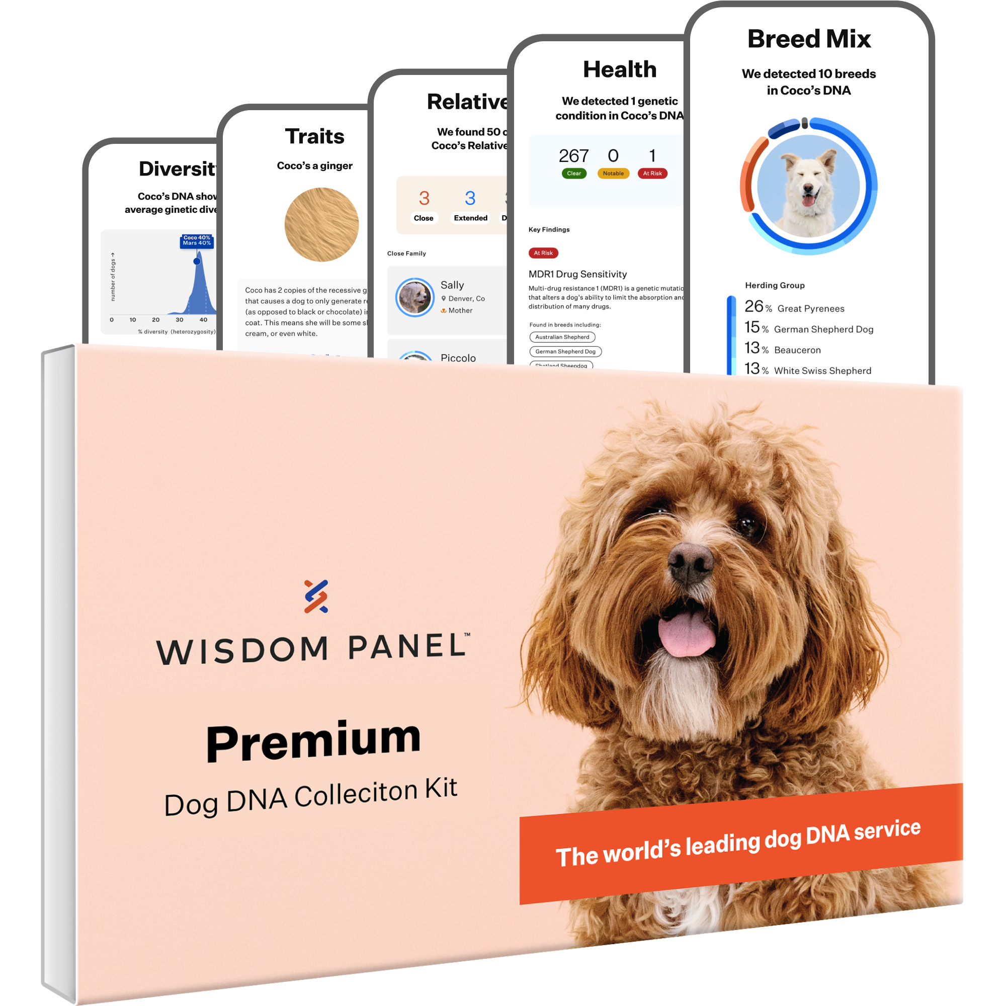 Wisdom Panel Premium, New and Improved Dog DNA Test for Comprehensive Health, Traits and Ancestry