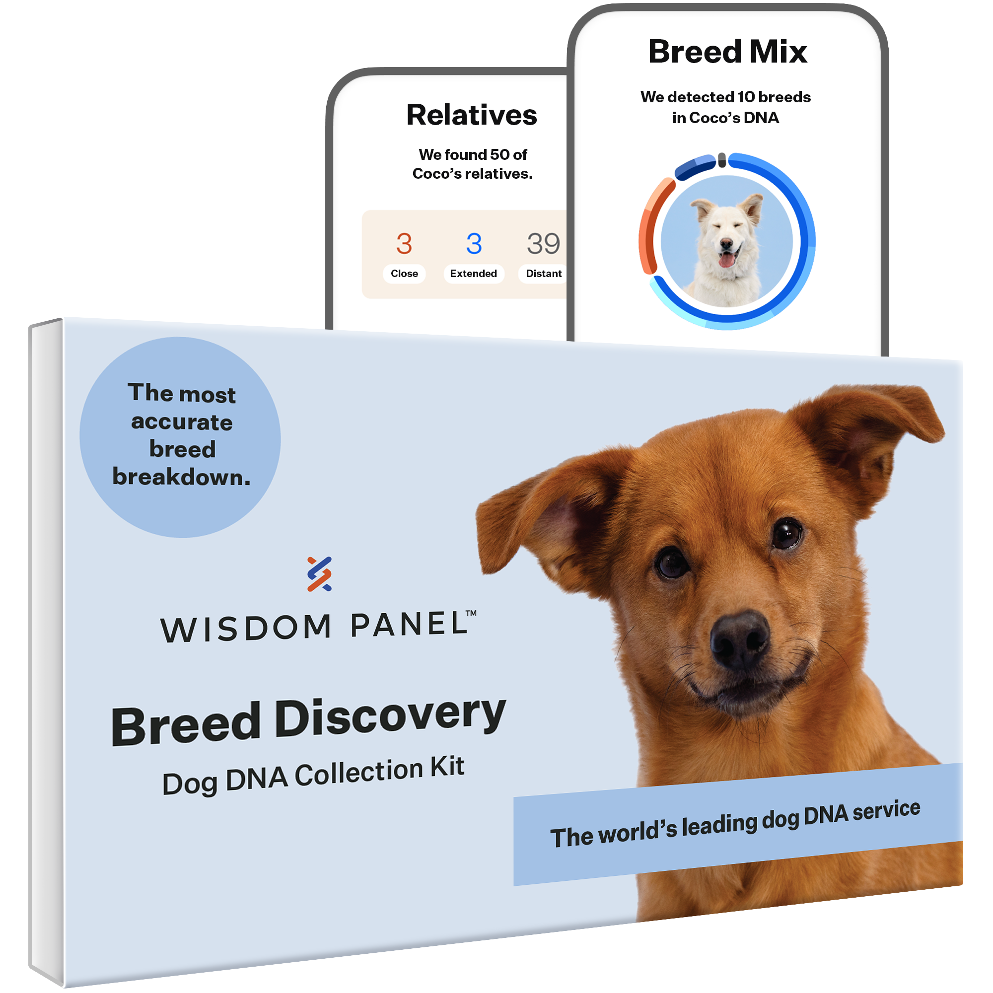 Wisdom Panel 3.0 Canine DNA Test - Dog DNA Test Kit for Breed and Ancestry Information